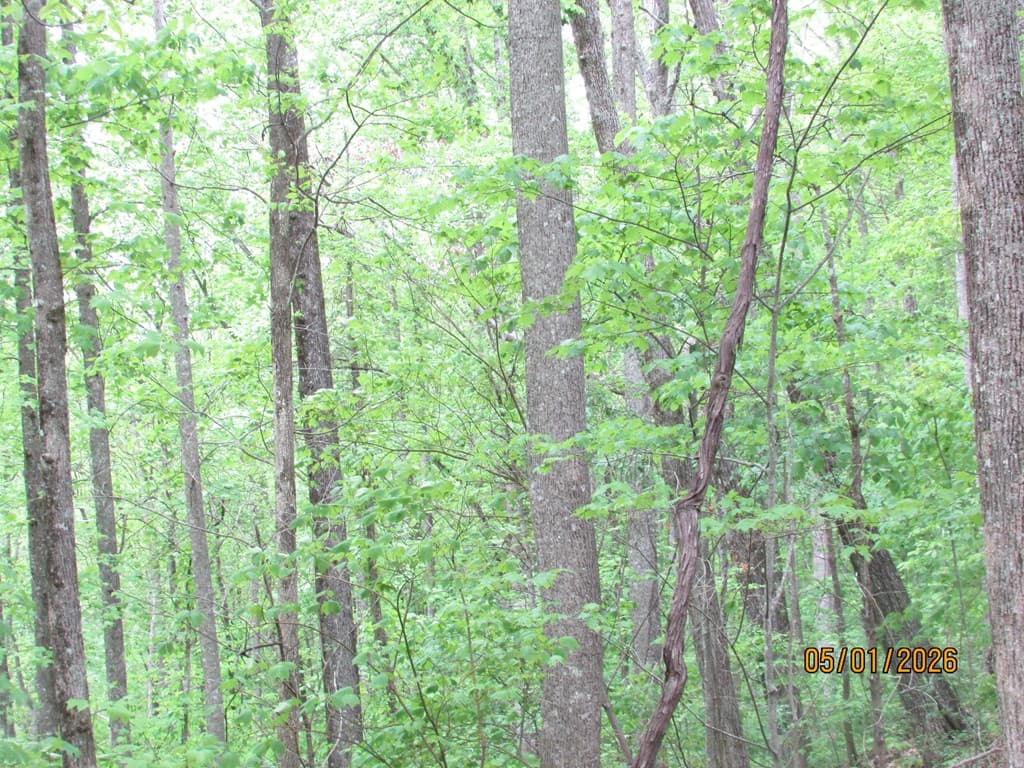 0 Taylor Knob Drive, Hayesville NC 28904 - Photo