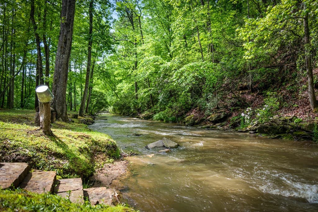 704 Town Creek Church Road, Talking Rock GA 30175 - Photo