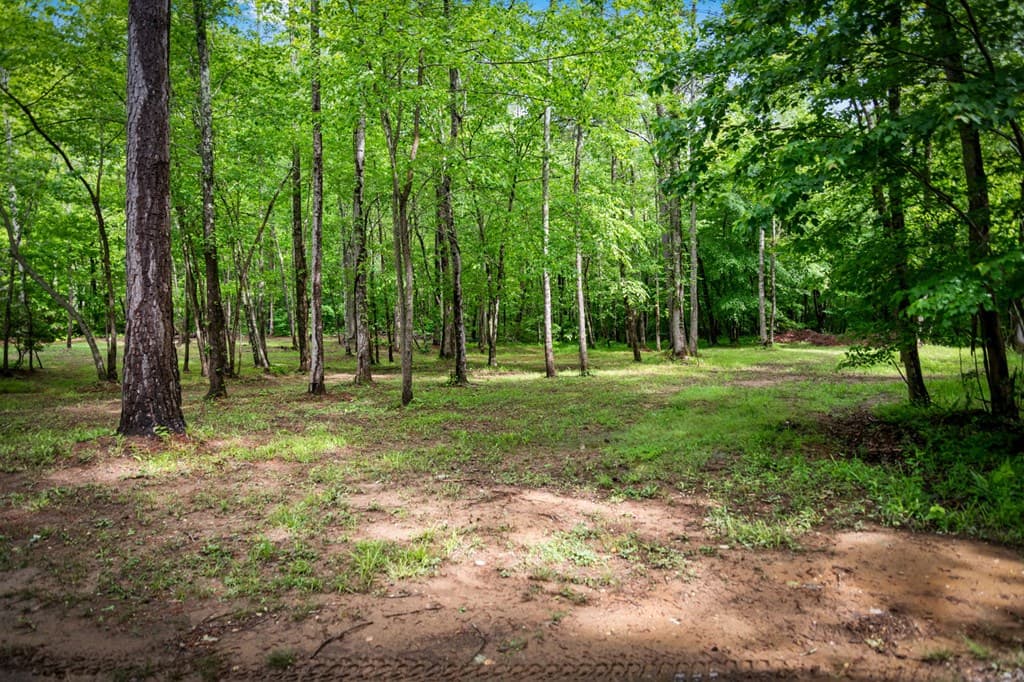 704 Town Creek Church Road, Talking Rock GA 30175 - Photo