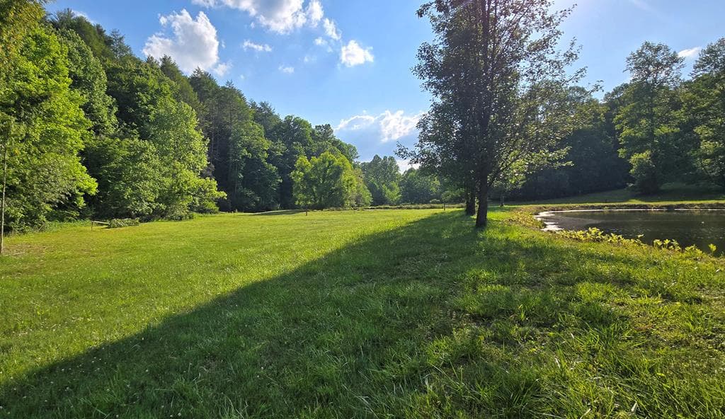 3800 Cutcane Road, Mineral Bluff GA 30559 - Photo