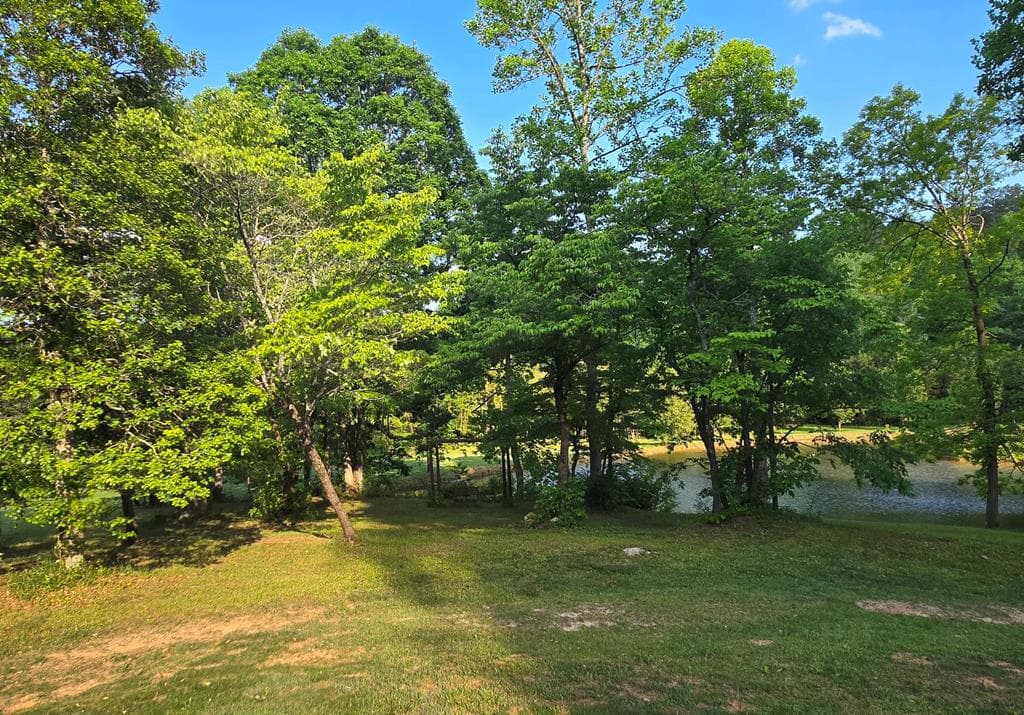 3800 Cutcane Road, Mineral Bluff GA 30559 - Photo