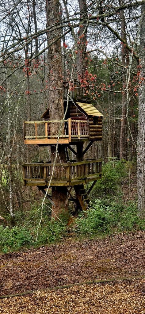 3800 Cutcane Road, Mineral Bluff GA 30559 - Photo