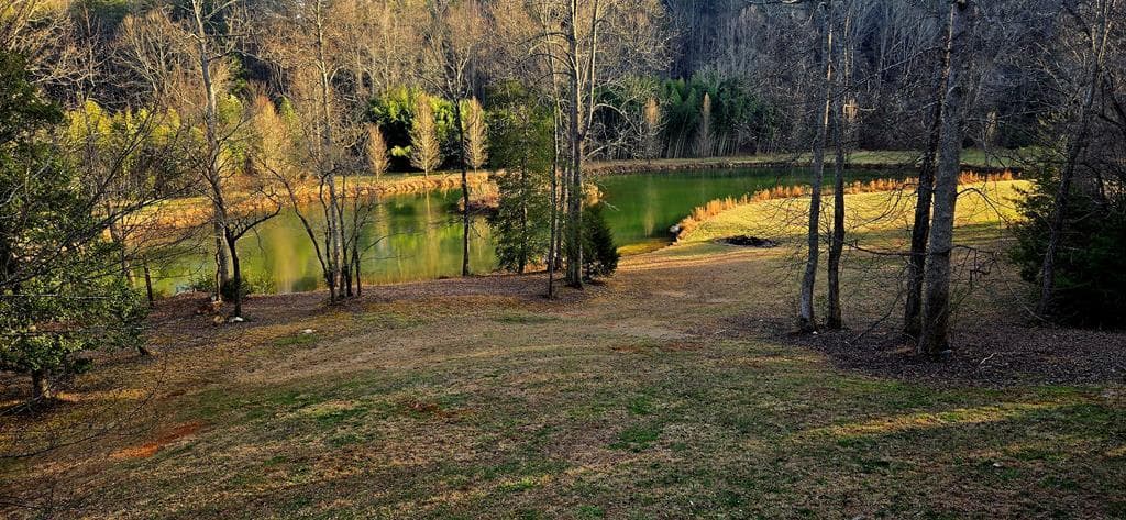 3800 Cutcane Road, Mineral Bluff GA 30559 - Photo