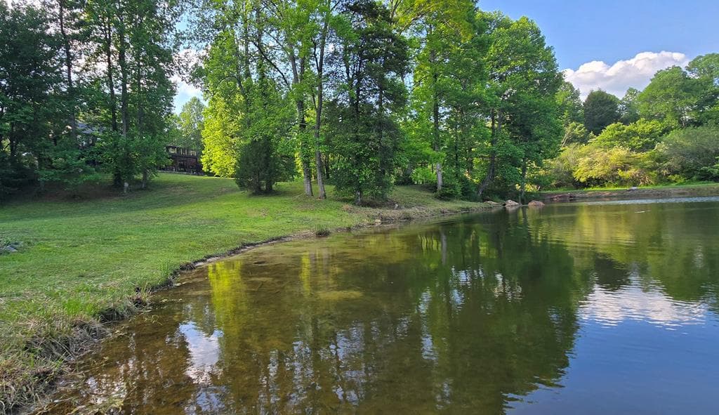 3800 Cutcane Road, Mineral Bluff GA 30559 - Photo
