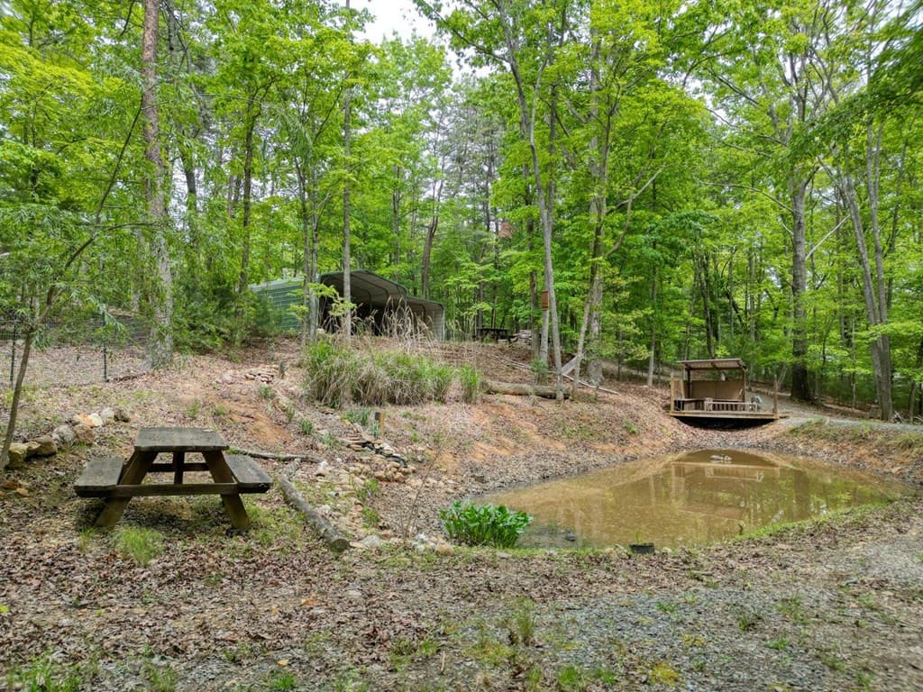 85 Cold Springs Road, Morganton GA 30560 - Photo