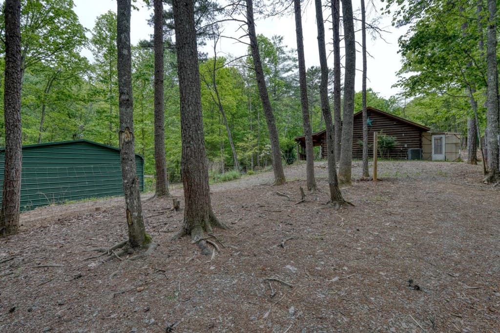 85 Cold Springs Road, Morganton GA 30560 - Photo