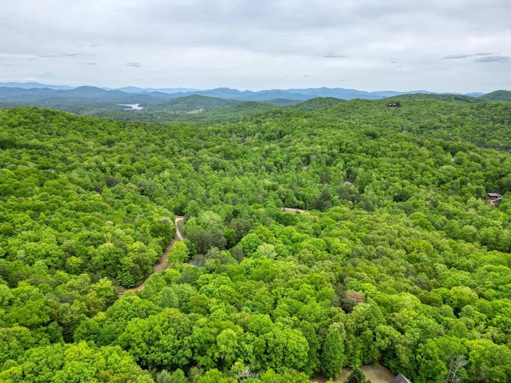 85 Cold Springs Road, Morganton GA 30560 - Photo