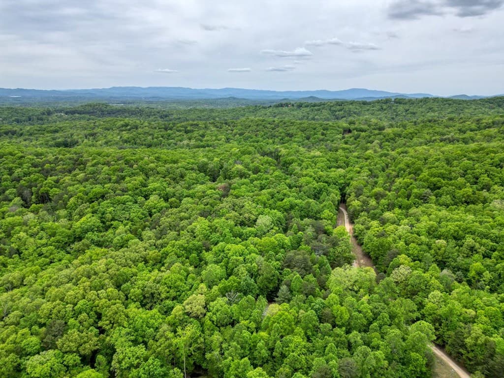 85 Cold Springs Road, Morganton GA 30560 - Photo
