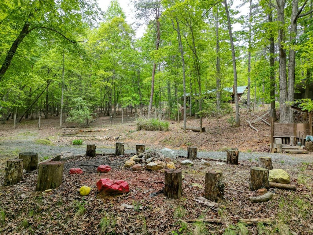 85 Cold Springs Road, Morganton GA 30560 - Photo