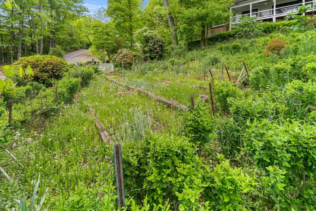 569 Sunnyside Shores, Hiawassee GA 30546 - Photo