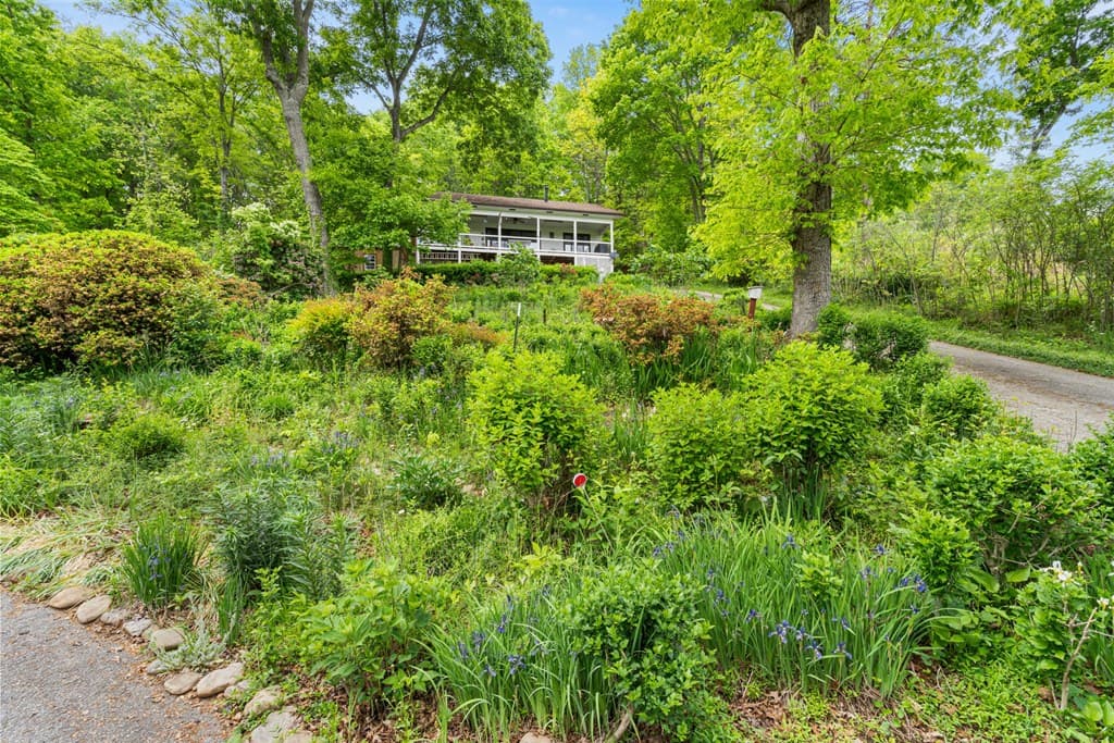569 Sunnyside Shores, Hiawassee GA 30546 - Photo