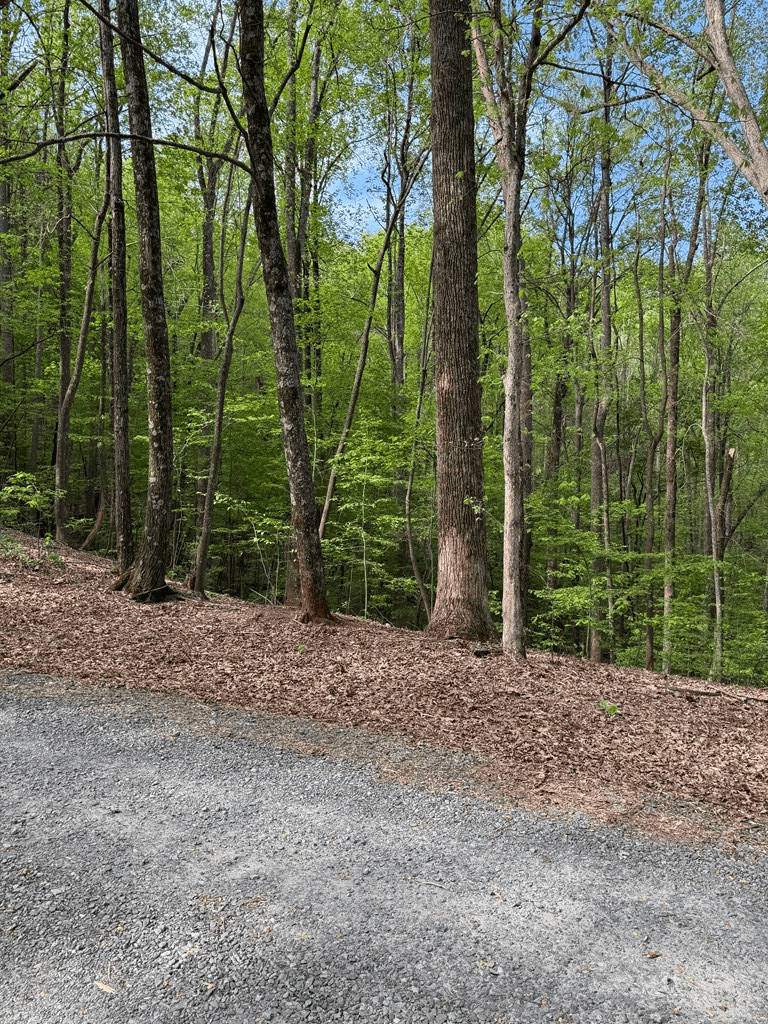 0 Mountain View Court, Ellijay GA 30536 - Photo