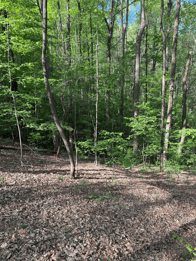 0 Mountain View Court, Ellijay GA 30536 - Photo