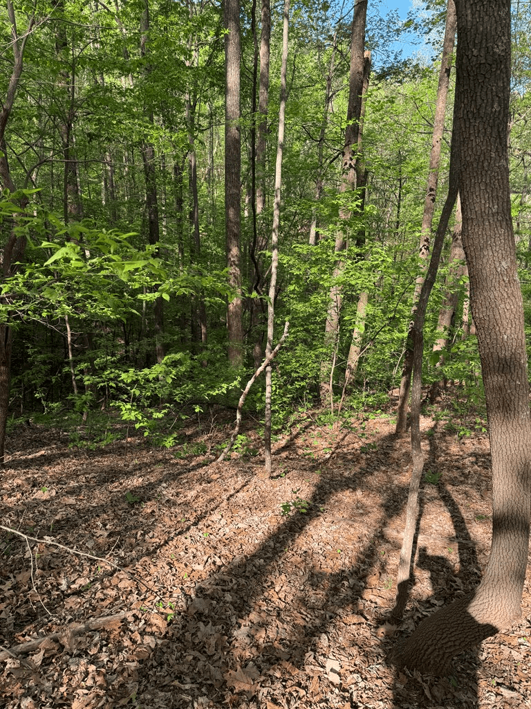 0 Mountain View Court, Ellijay GA 30536 - Photo