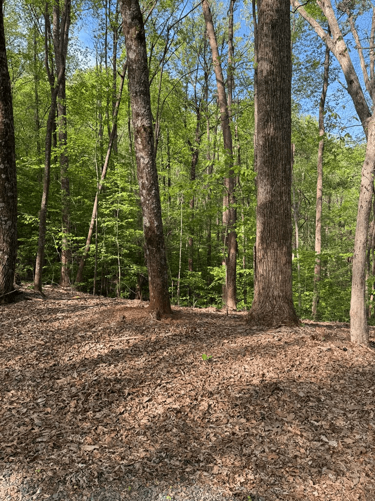 0 Mountain View Court, Ellijay GA 30536 - Photo