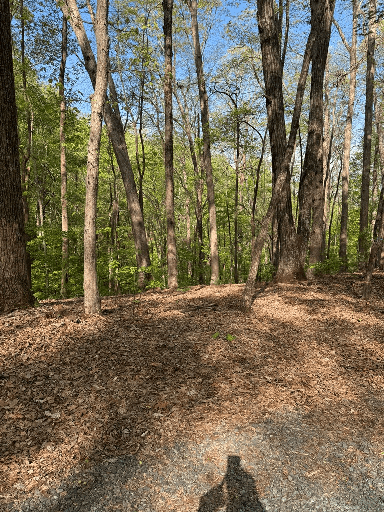 0 Mountain View Court, Ellijay GA 30536 - Photo