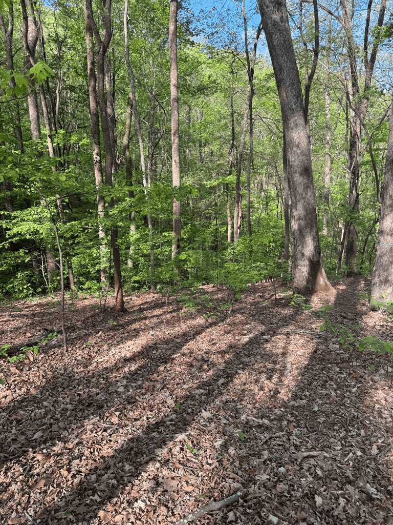 0 Mountain View Court, Ellijay GA 30536 - Photo