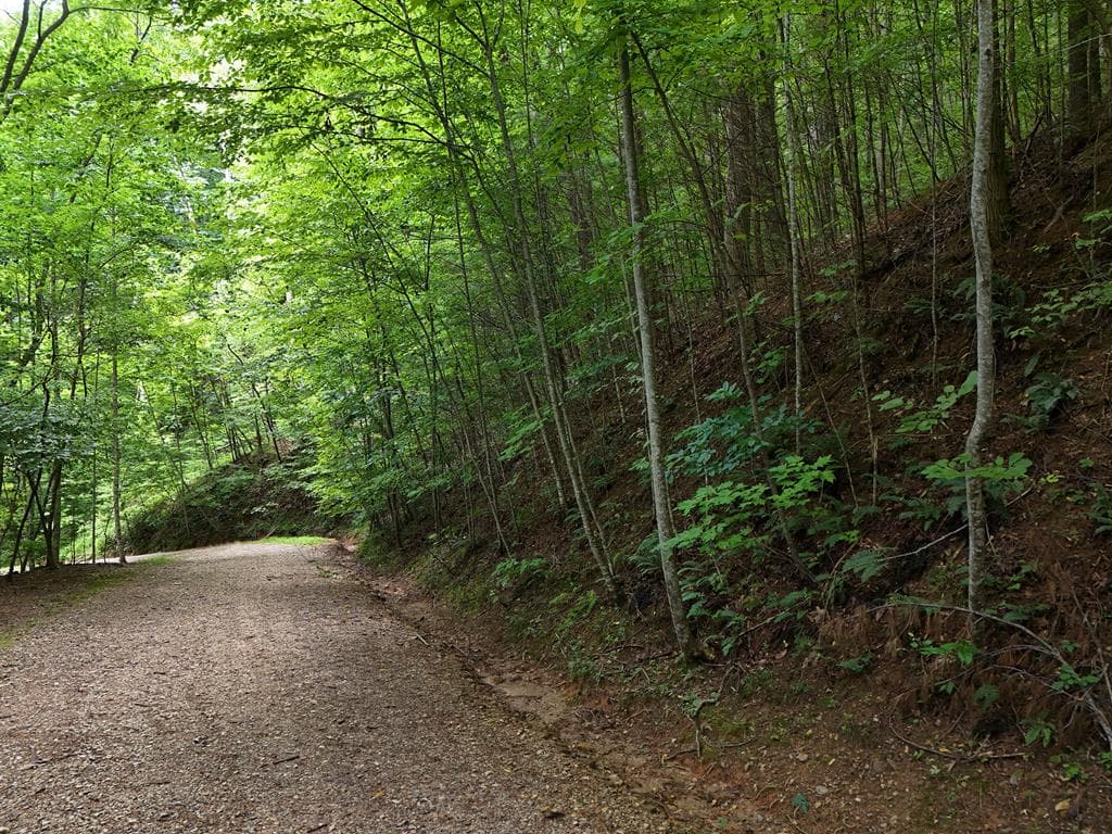 Lot 31 Highland Forge Lane, Blairsville GA 30512 - Photo