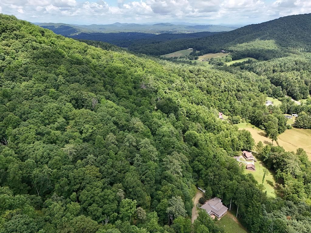 Lot 31 Highland Forge Lane, Blairsville GA 30512 - Photo