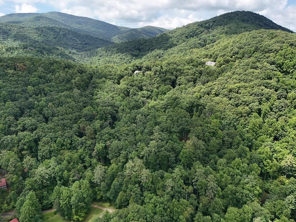 Lot 31 Highland Forge Lane, Blairsville GA 30512 - Photo