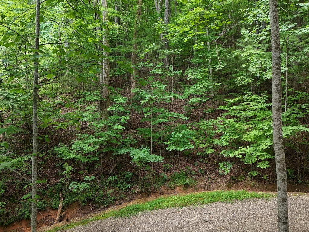 Lot 31 Highland Forge Lane, Blairsville GA 30512 - Photo