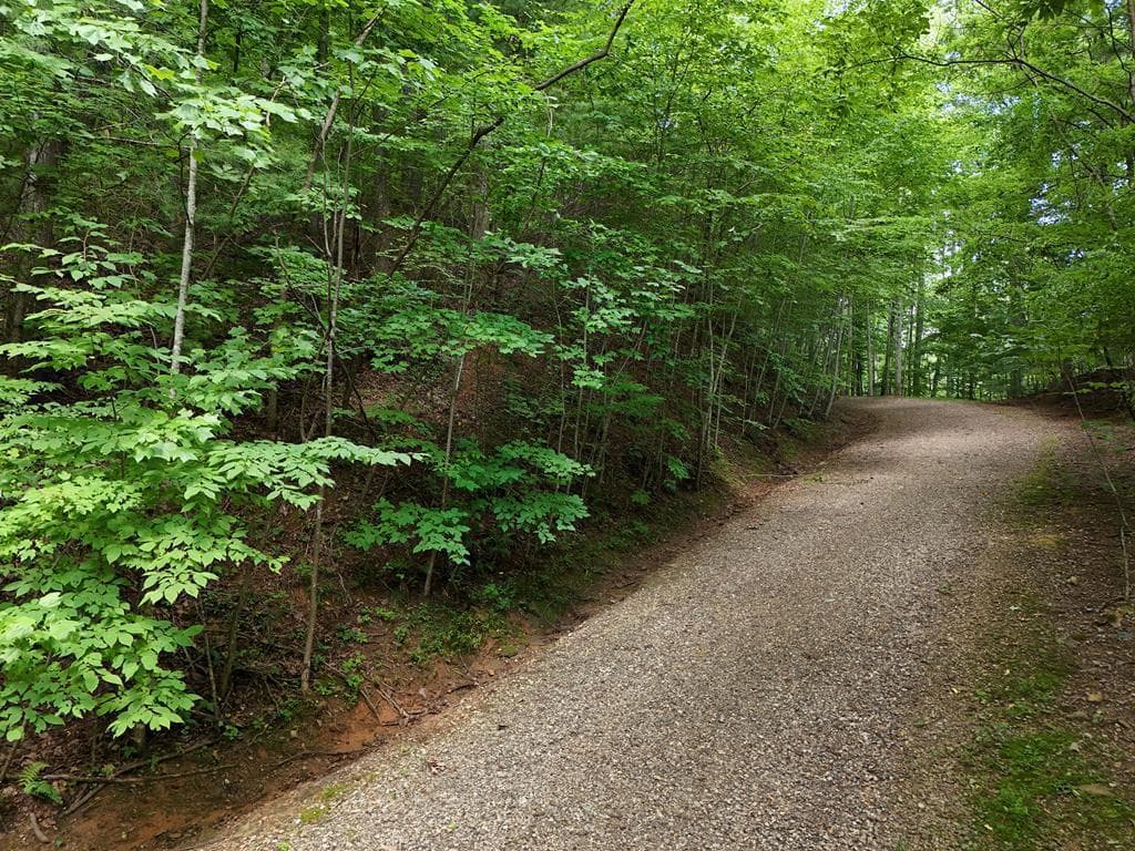 Lot 31 Highland Forge Lane, Blairsville GA 30512 - Primary photo