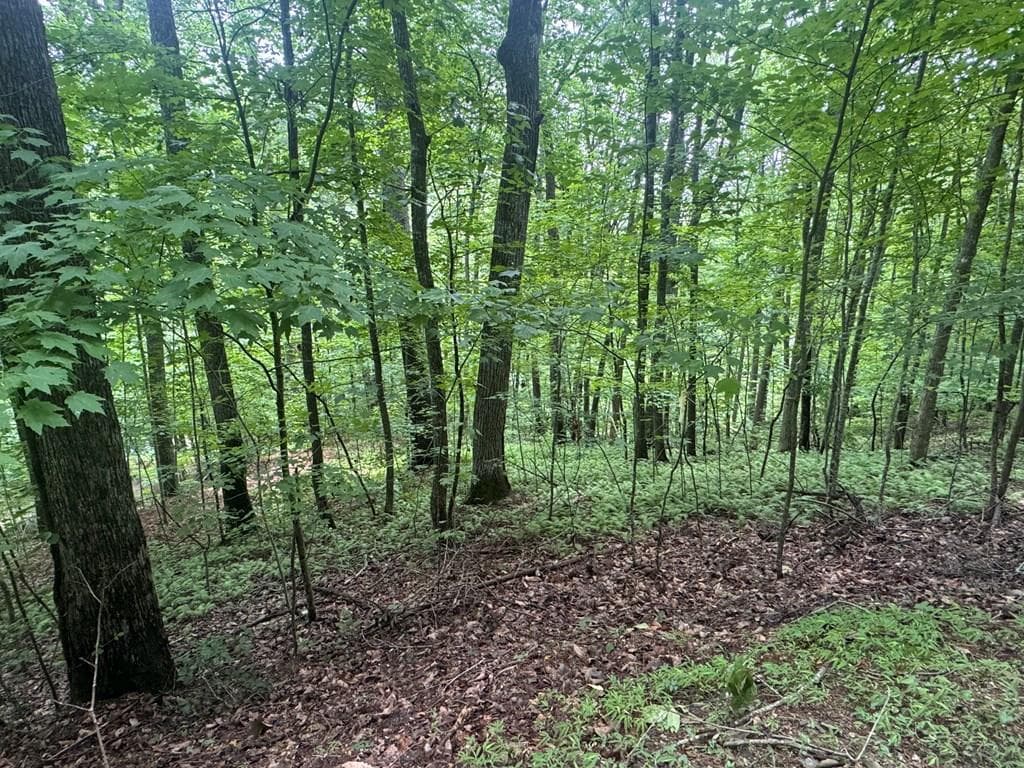 Lot 31 Highland Forge Lane, Blairsville GA 30512 - Photo