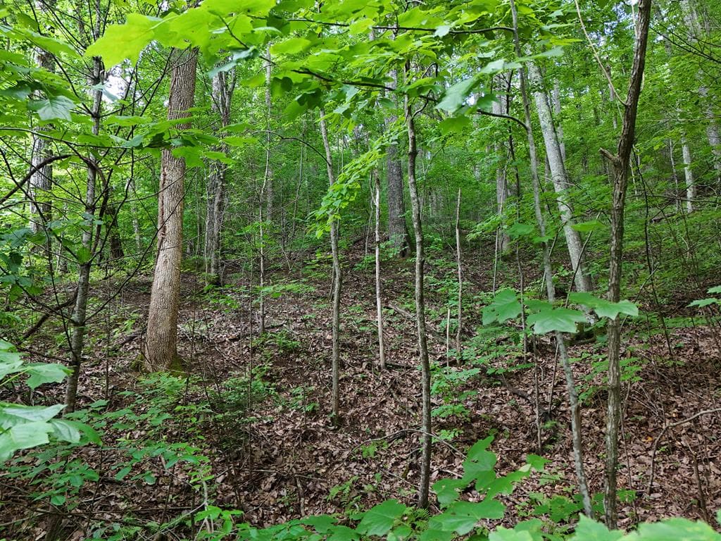 Lot 31 Highland Forge Lane, Blairsville GA 30512 - Photo