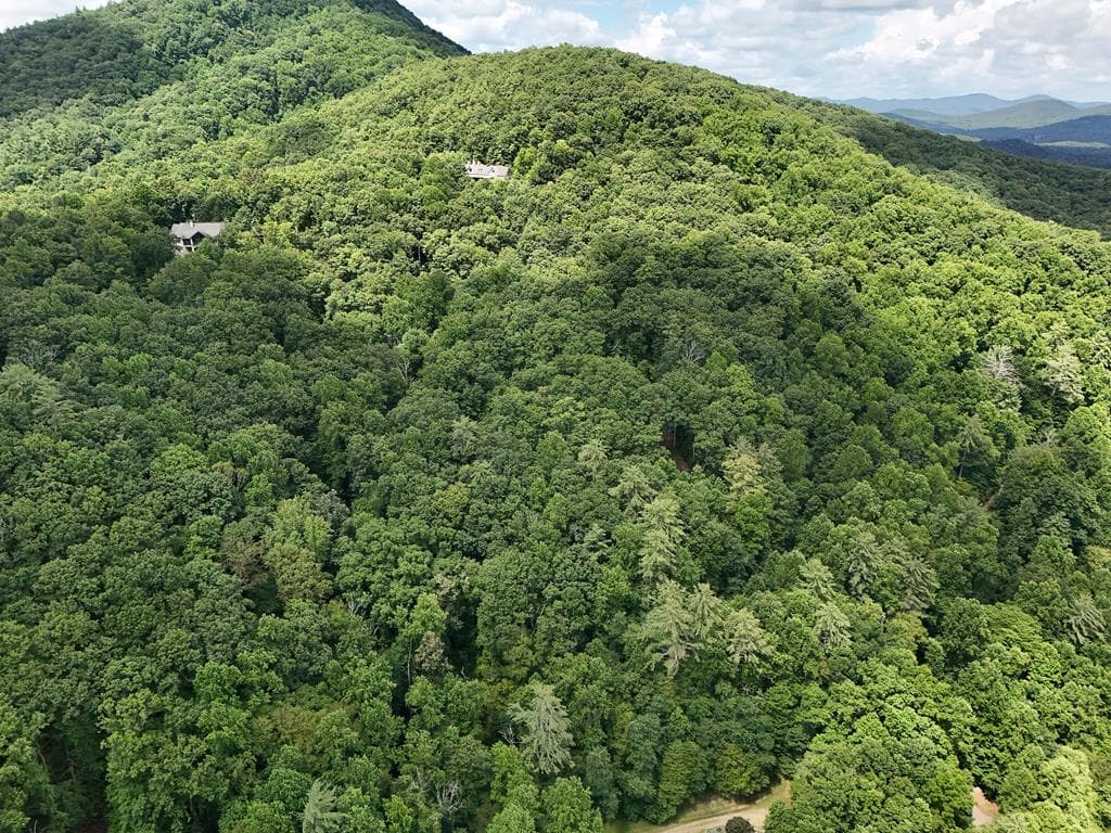 Lot 31 Highland Forge Lane, Blairsville GA 30512 - Photo
