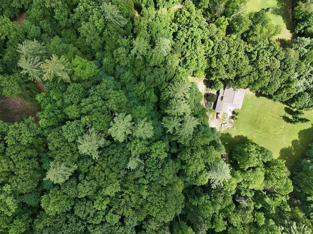 Lot 31 Highland Forge Lane, Blairsville GA 30512 - Photo