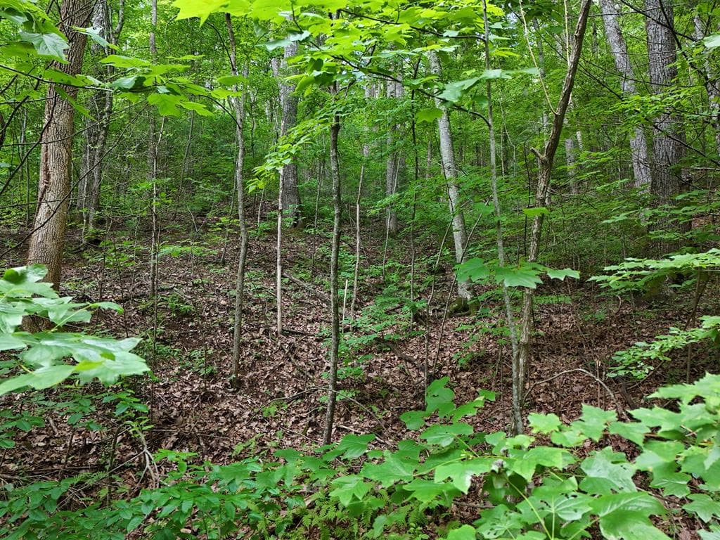Lot 31 Highland Forge Lane, Blairsville GA 30512 - Photo