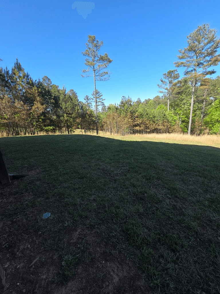182 Loop Lane, Blairsville GA 30512 - Photo