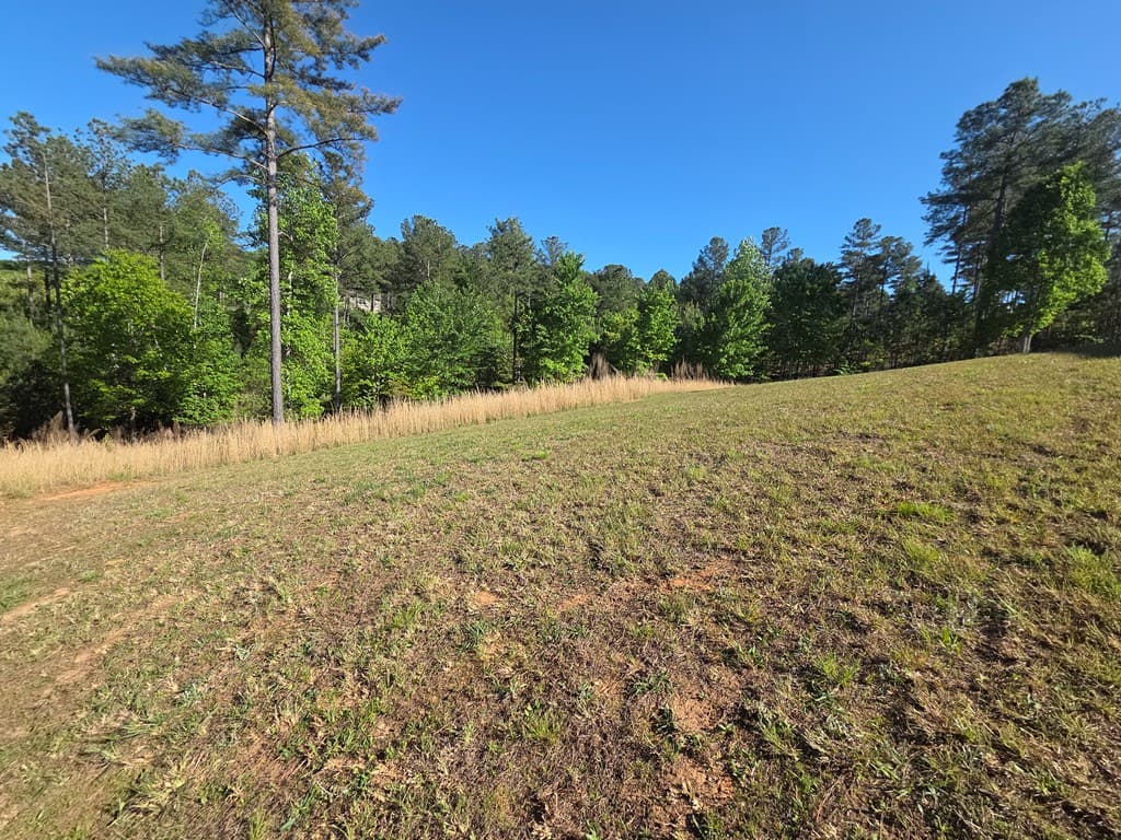 182 Loop Lane, Blairsville GA 30512 - Photo