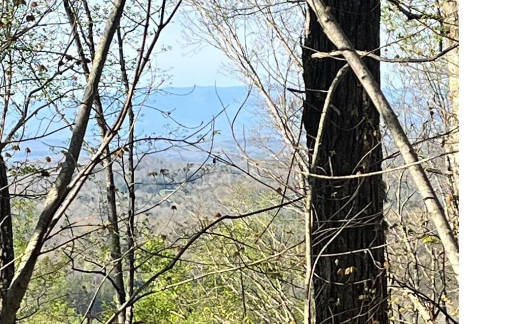 lot 118 Croft Mountain Road, Blairsville GA 30512 - Photo