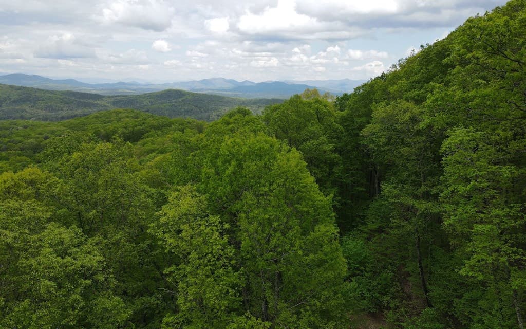 lot 118 Croft Mountain Road, Blairsville GA 30512 - Photo