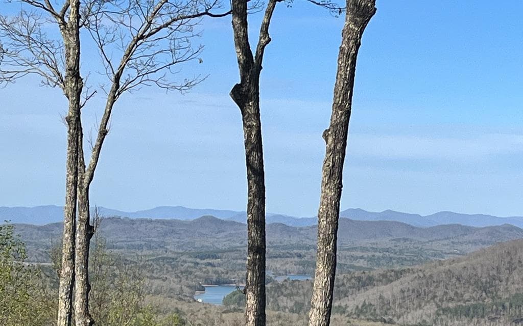 lot 118 Croft Mountain Road, Blairsville GA 30512 - Photo