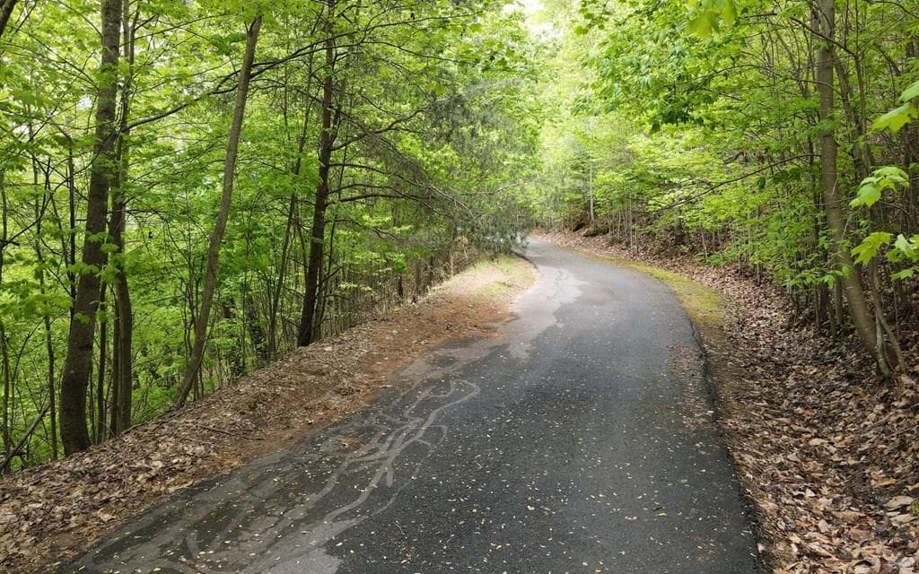 lot 118 Croft Mountain Road, Blairsville GA 30512 - Photo