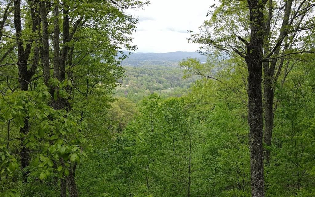 lot 118 Croft Mountain Road, Blairsville GA 30512 - Photo