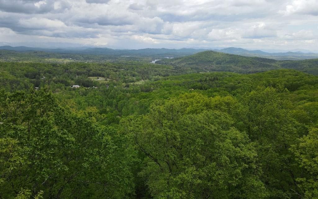 lot 118 Croft Mountain Road, Blairsville GA 30512 - Photo