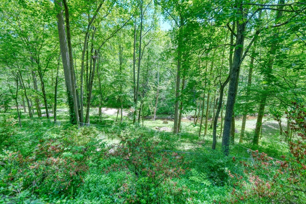 1903 Bell Eagle Drive, Hiawassee GA 30546 - Photo