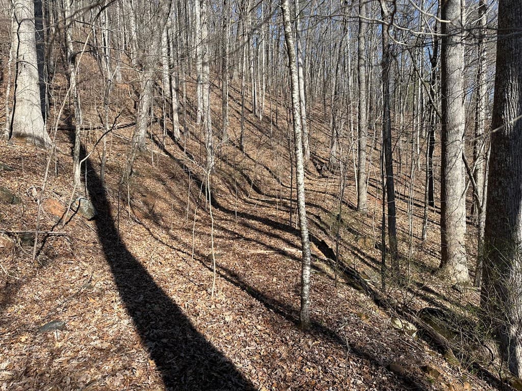Lot 80 Asheland Cove, Young Harris GA 30582 - Photo