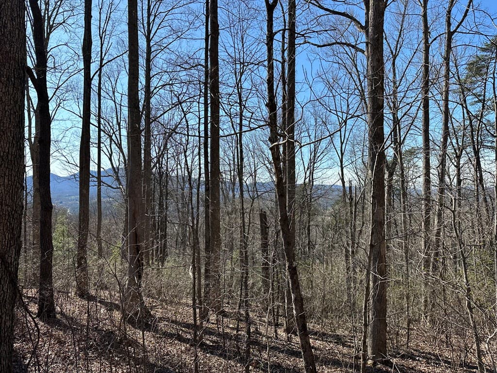 Lot 80 Asheland Cove, Young Harris GA 30582 - Photo