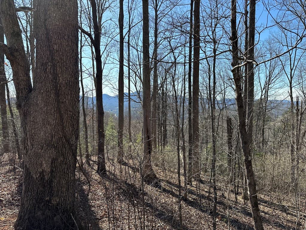 Lot 80 Asheland Cove, Young Harris GA 30582 - Photo