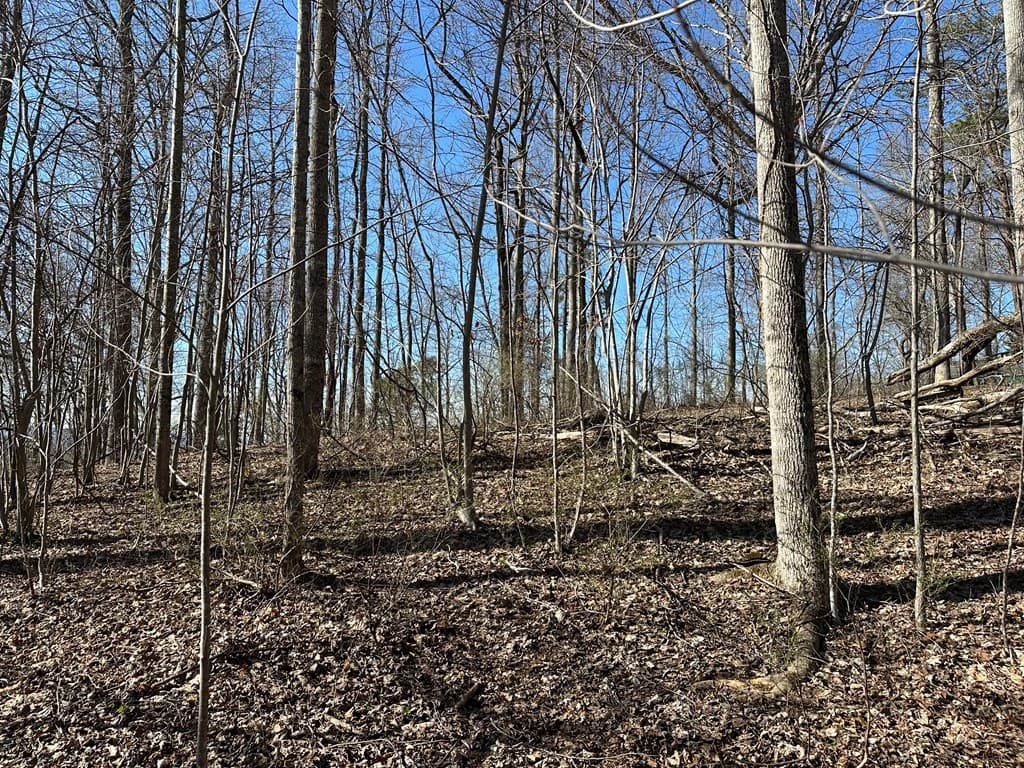 Lot 80 Asheland Cove, Young Harris GA 30582 - Photo