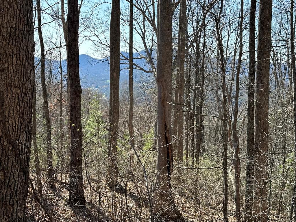 Lot 80 Asheland Cove, Young Harris GA 30582 - Primary photo