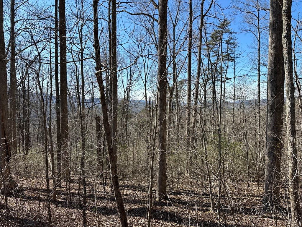 Lot 80 Asheland Cove, Young Harris GA 30582 - Photo