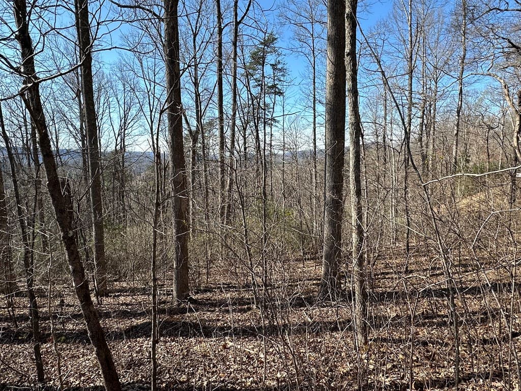 Lot 80 Asheland Cove, Young Harris GA 30582 - Photo