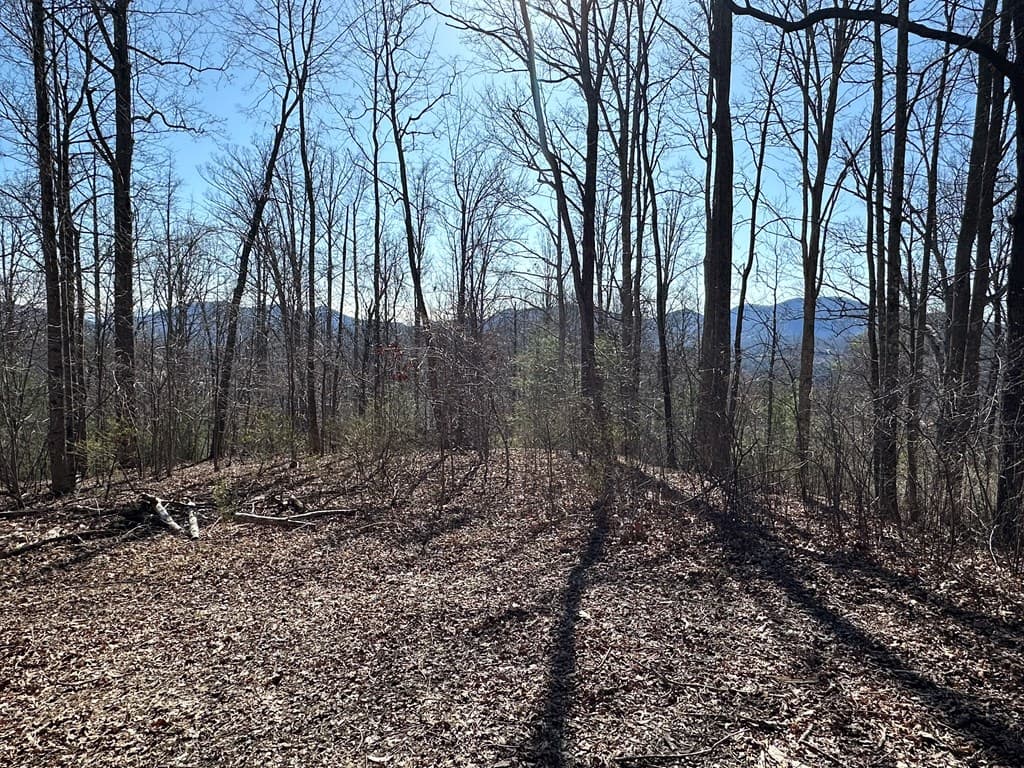 Lot 80 Asheland Cove, Young Harris GA 30582 - Photo
