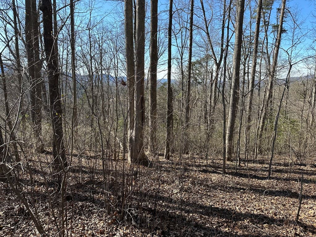 Lot 80 Asheland Cove, Young Harris GA 30582 - Photo