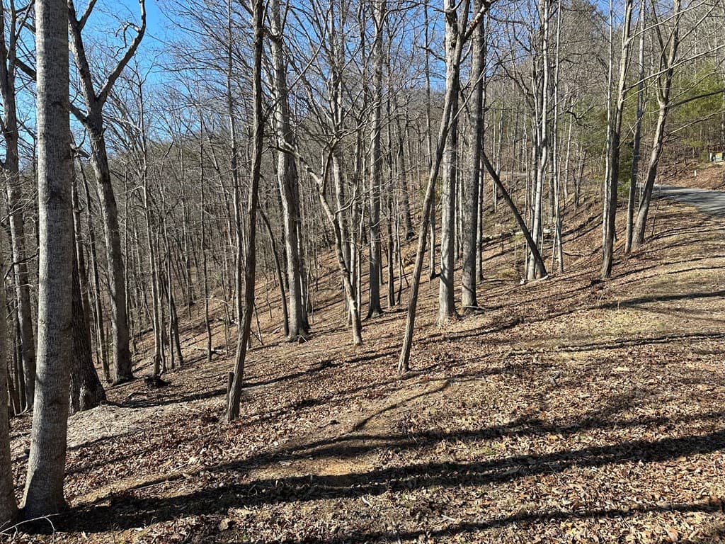 Lot 55 Asheland Cove, Young Harris GA 30582 - Photo